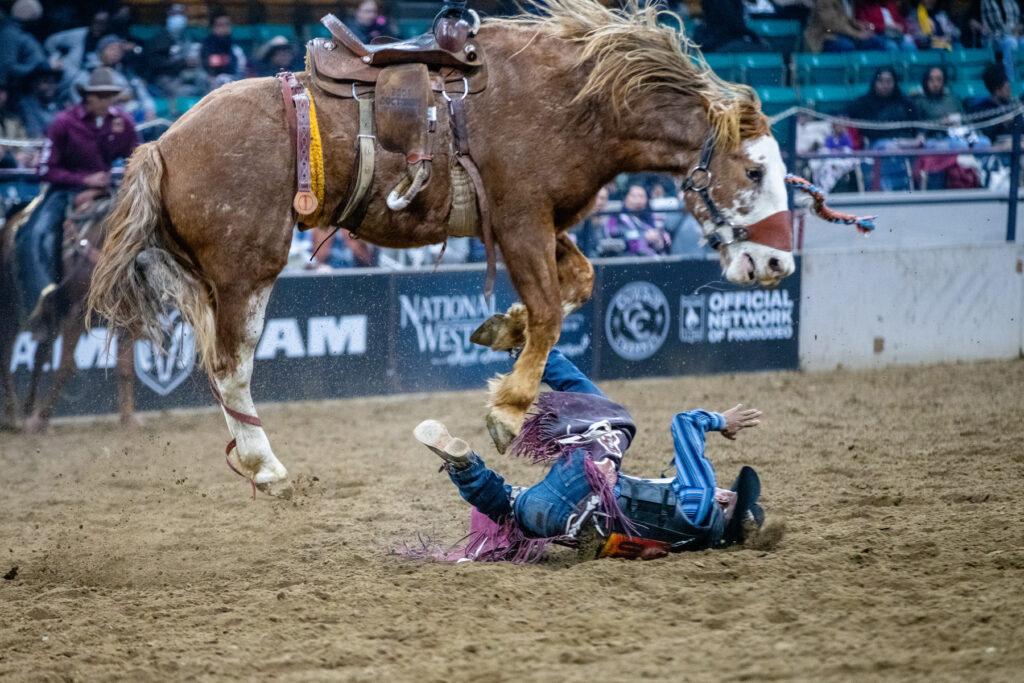 240115-MLK-RODEO-NWSS-STOCK-SHOW