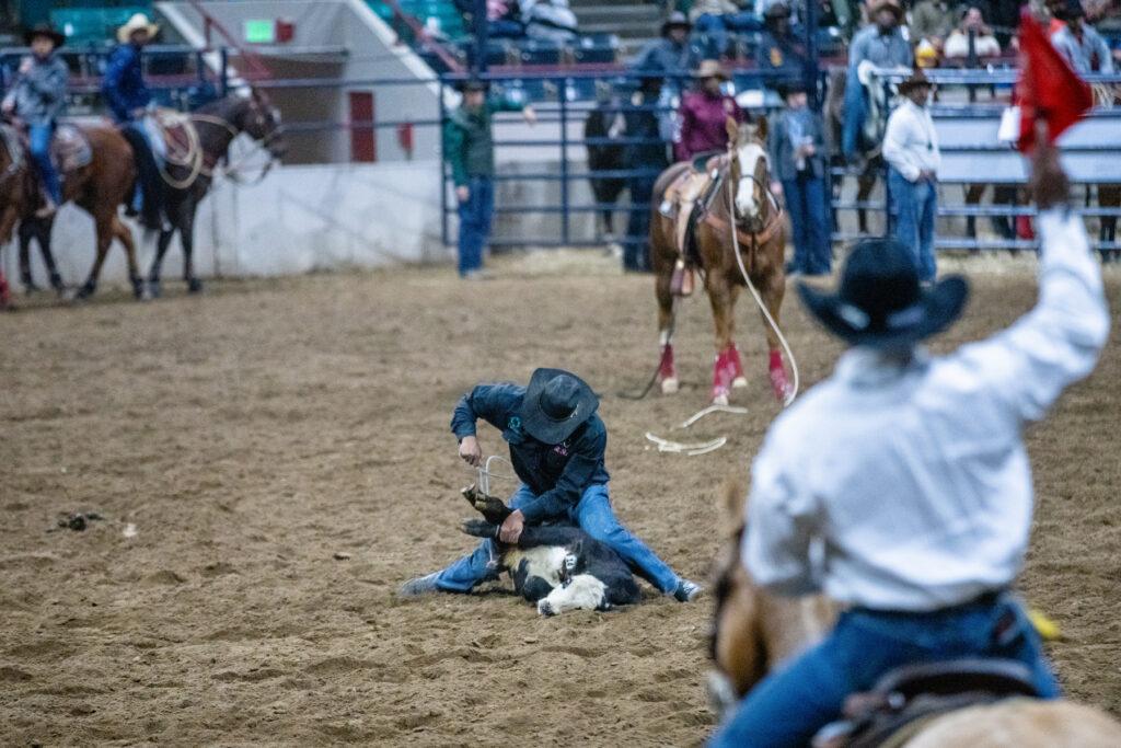 240115-MLK-RODEO-NWSS-STOCK-SHOW