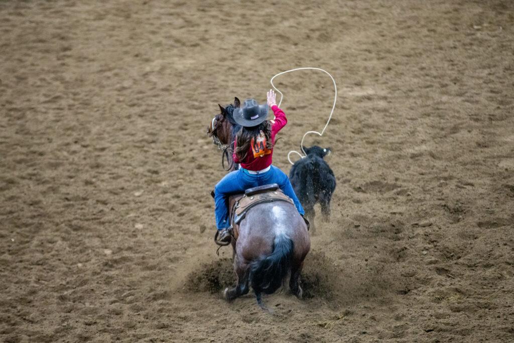 240115-MLK-RODEO-NWSS-STOCK-SHOW