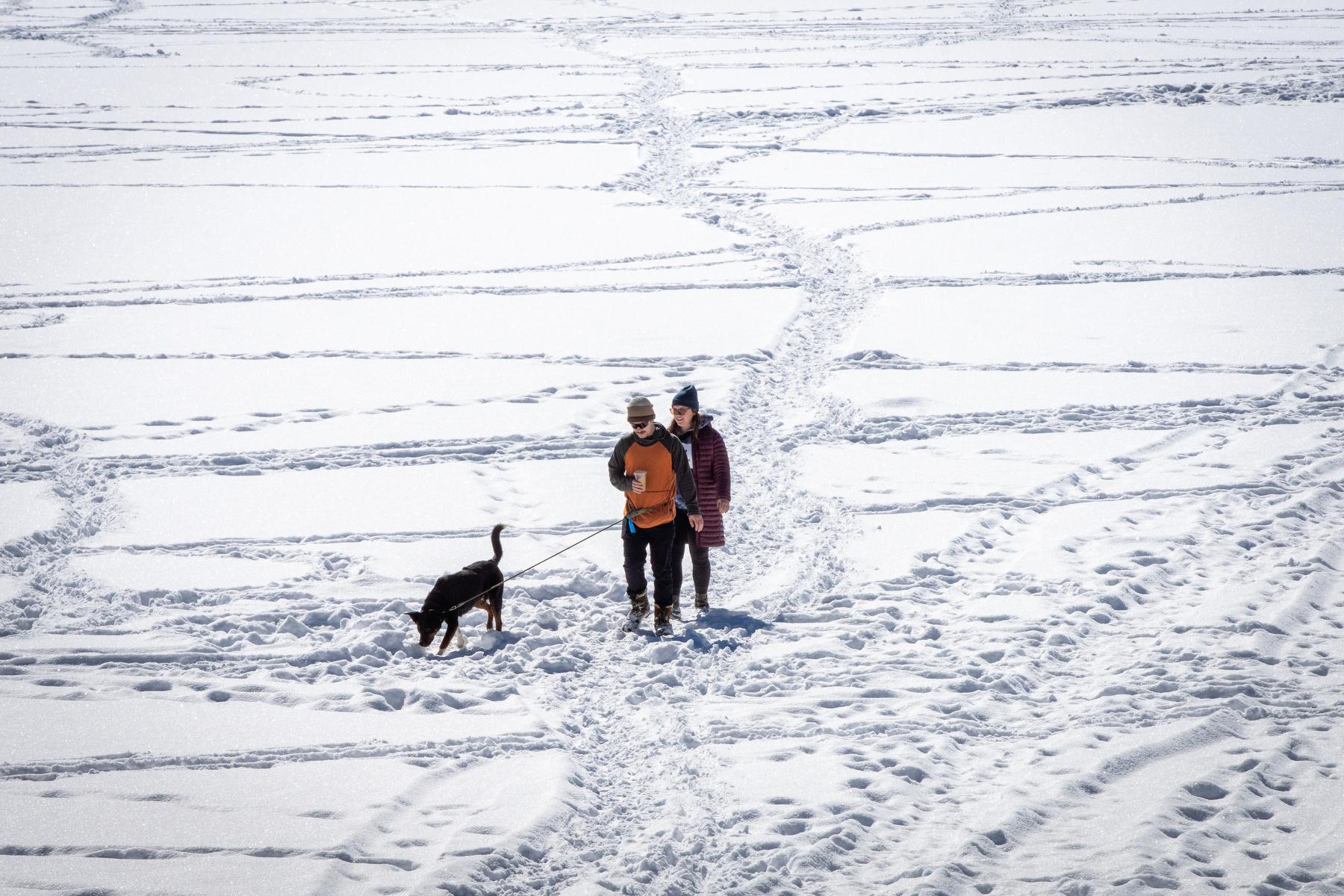 WINTER-SNOW-EVERGREEN-LAKE-WALKING-DOG-240211