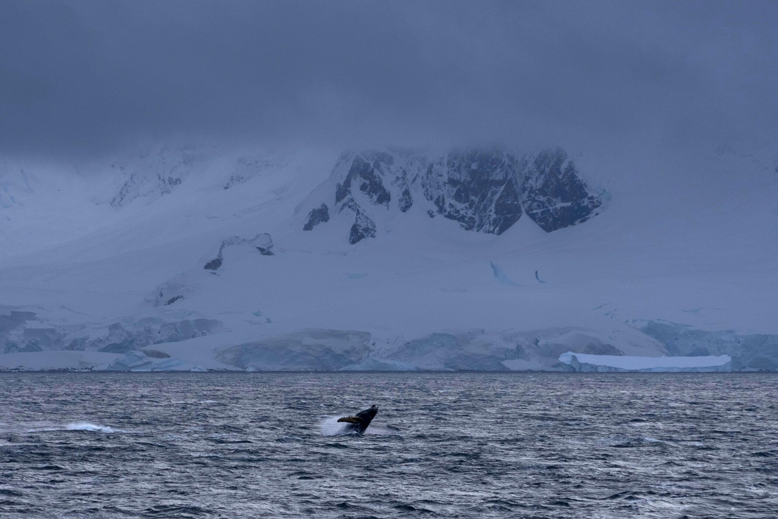 APTOPIX Ocean Fisheries Antarctic Krill Fishing