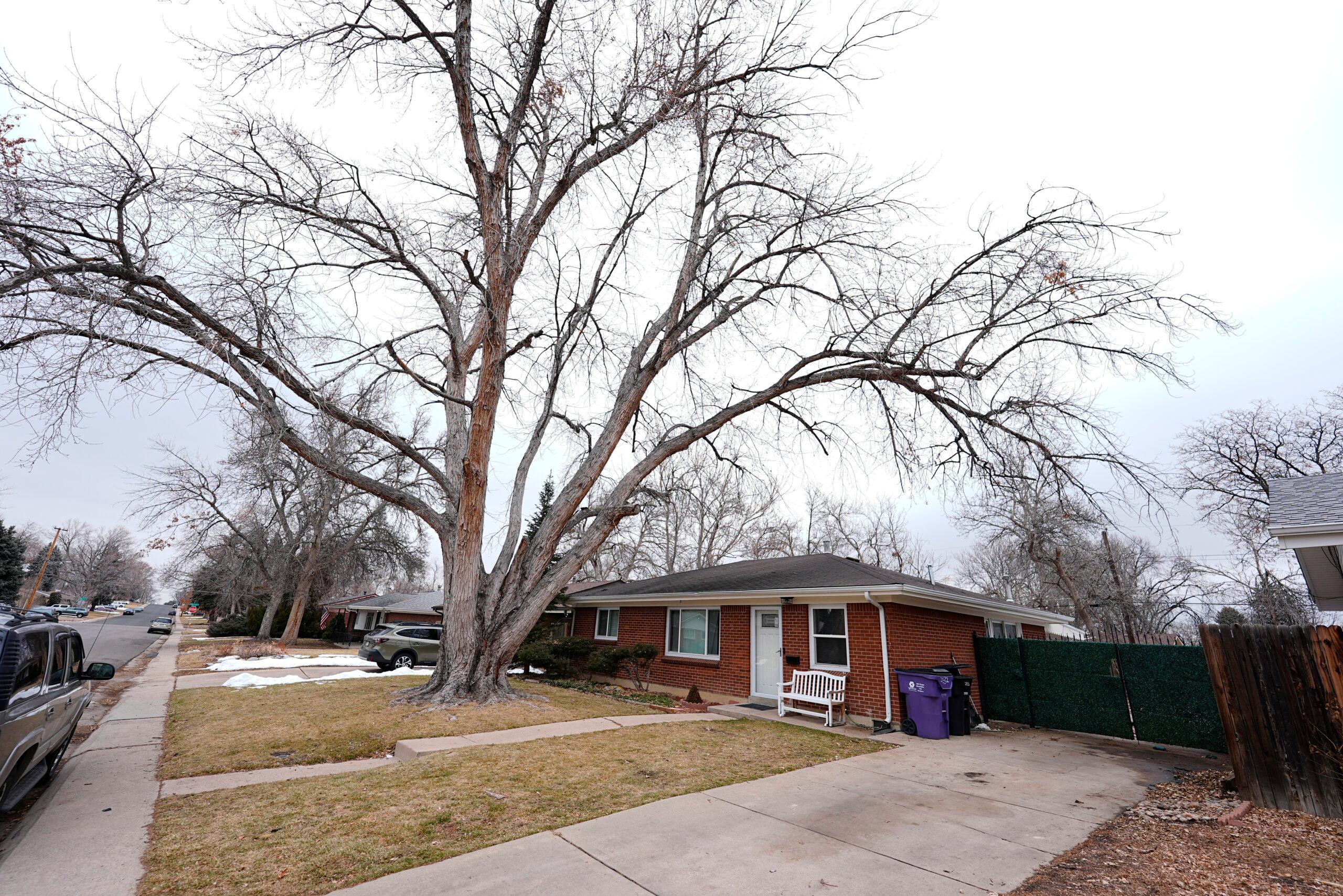 Funeral Home Owner Cremains Found