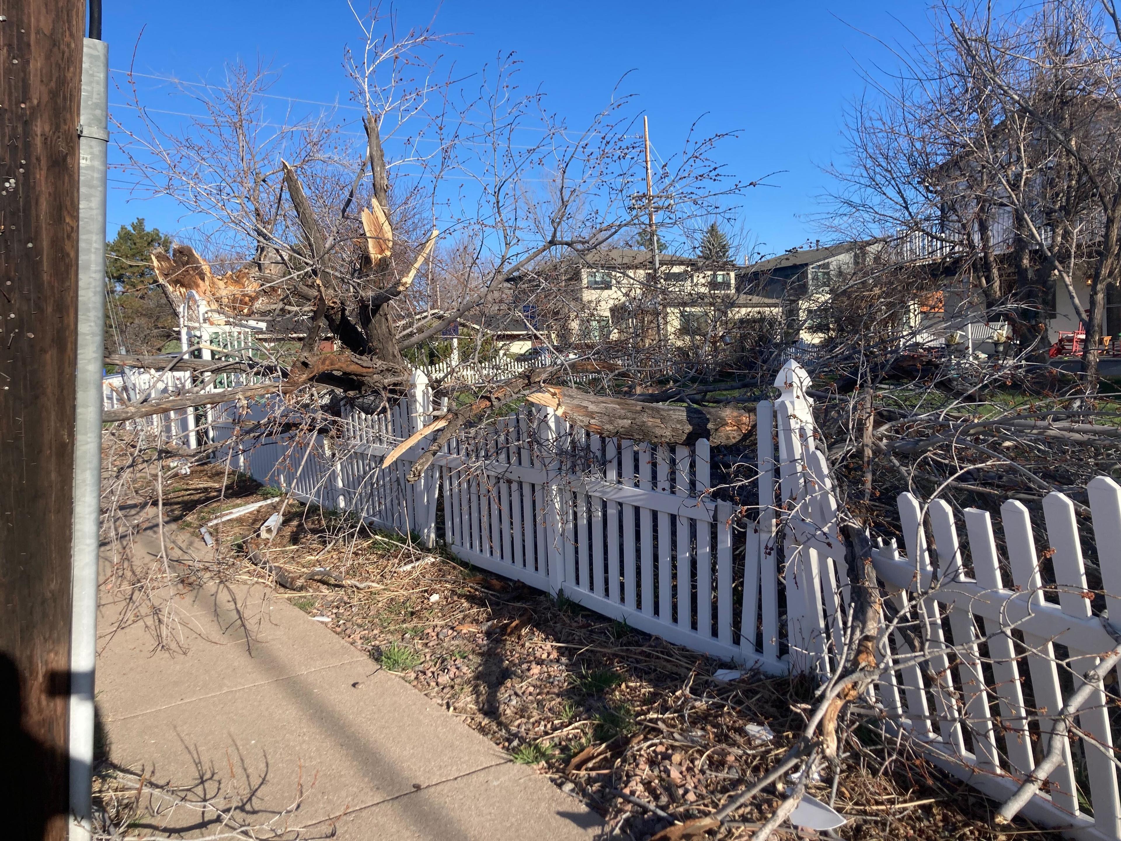 Wind damage in Wheat Ridge from April 6 and 7, 2024 windstorm