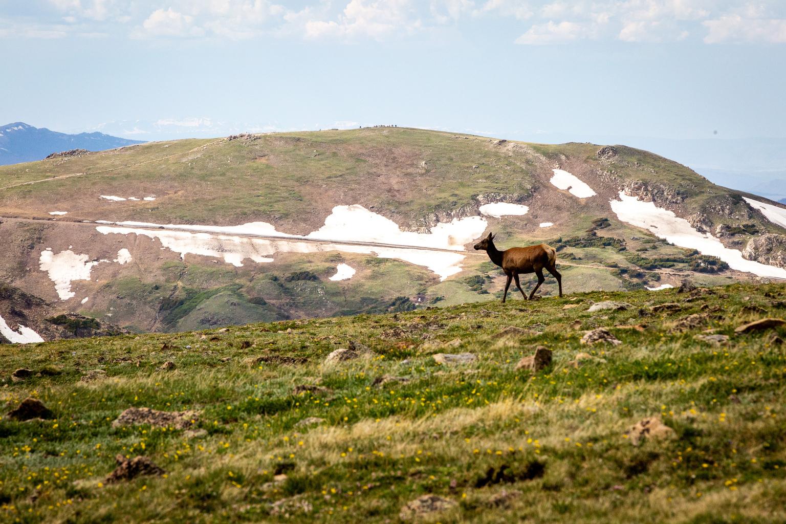 ALPINE VISITOR CENTER TRAIL RIDGE ROAD ROCKY MOUNTAIN NATIONAL PARK