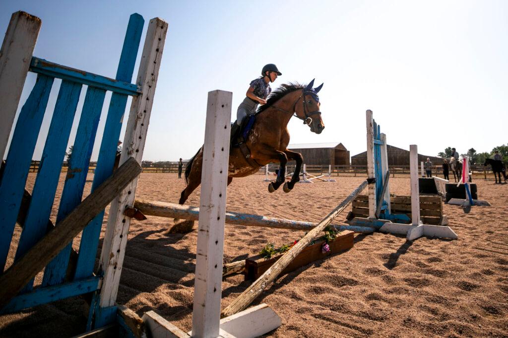 A brown horse leaps over wooden beams with a girl on its back.