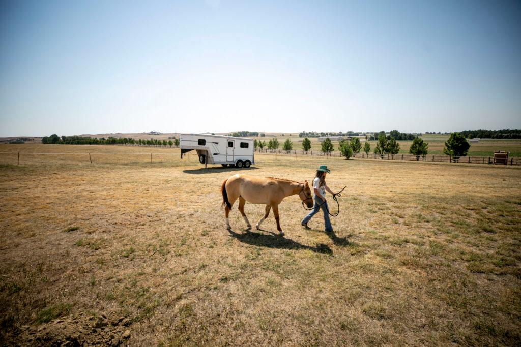 A girl in a green cowboy hat walks a little tan horse over a field of yellow grass.