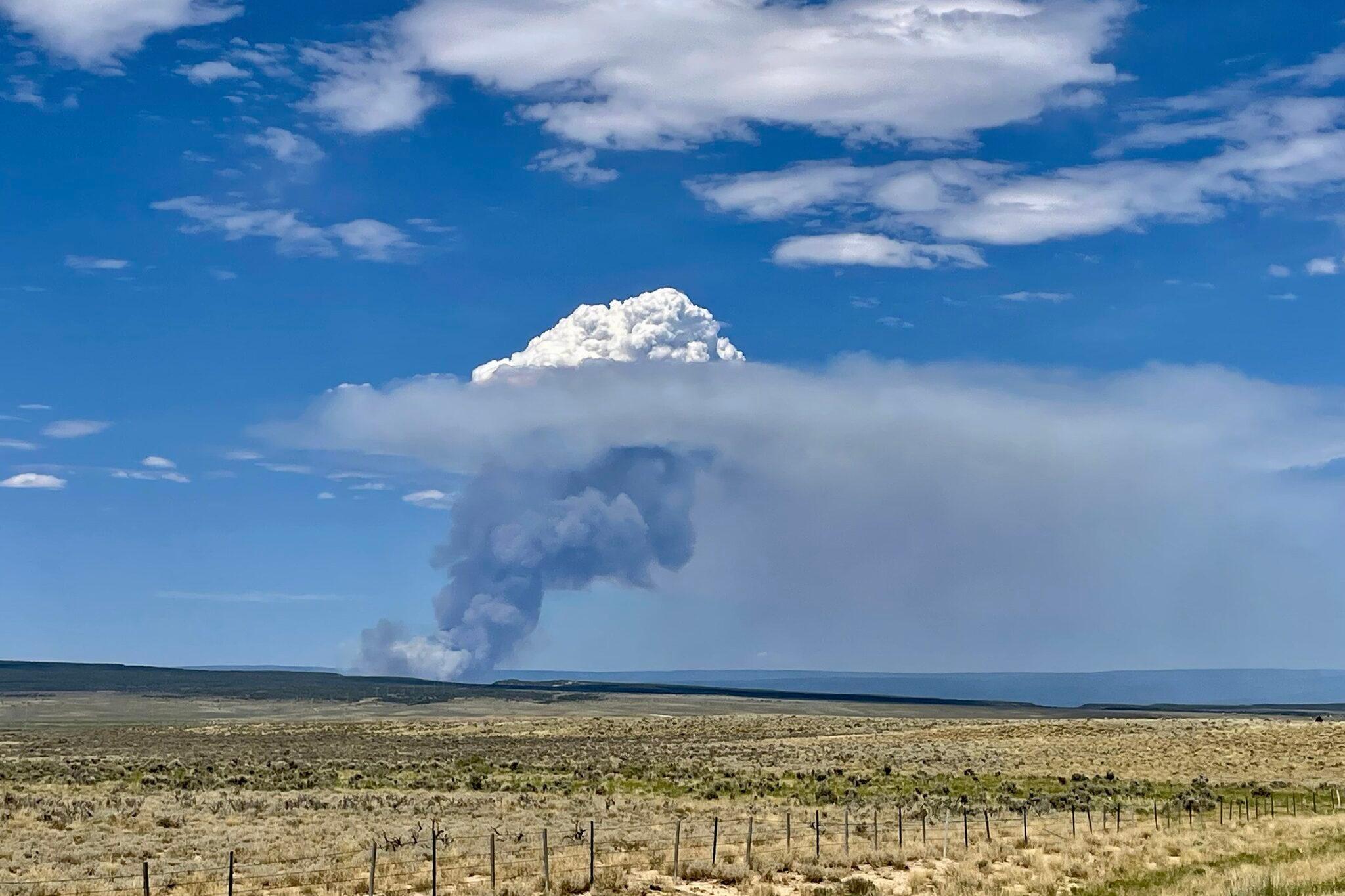 A column of smoke from the Bucktail fire