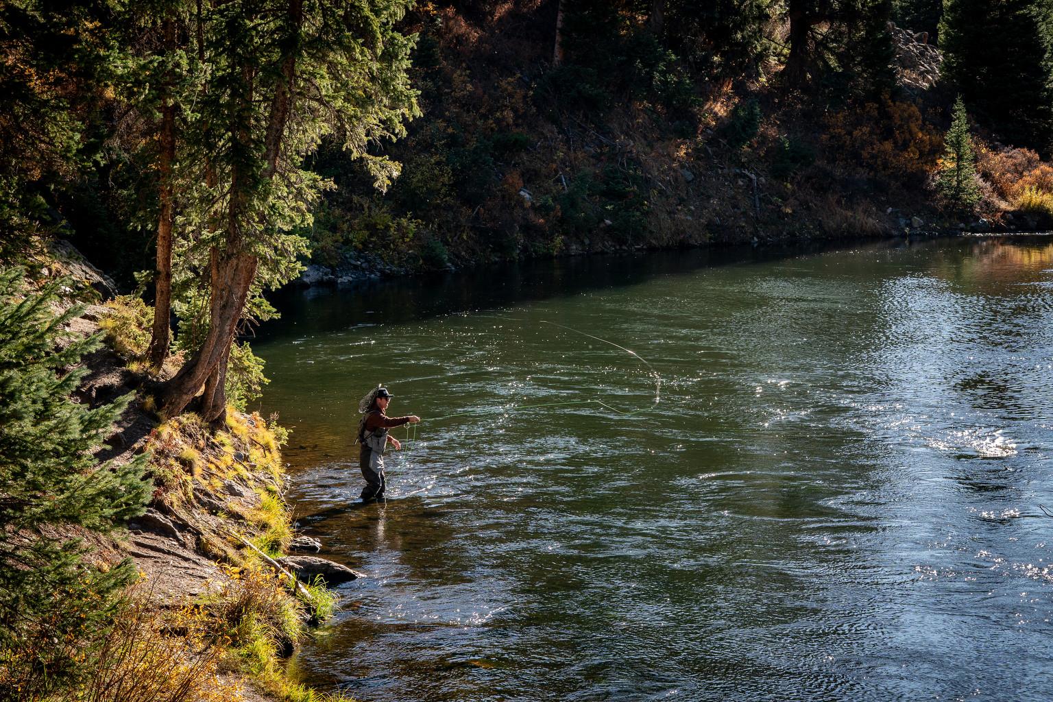 TAYLOR RIVER FLYFISHING