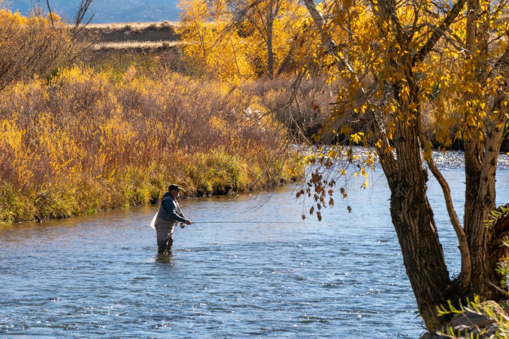 Flyfishing in the Arkansas River