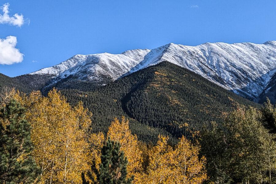 Golden leaved aspen trees in foreground and also dot the conifer forest on the shoulder of a snow dusted mountain