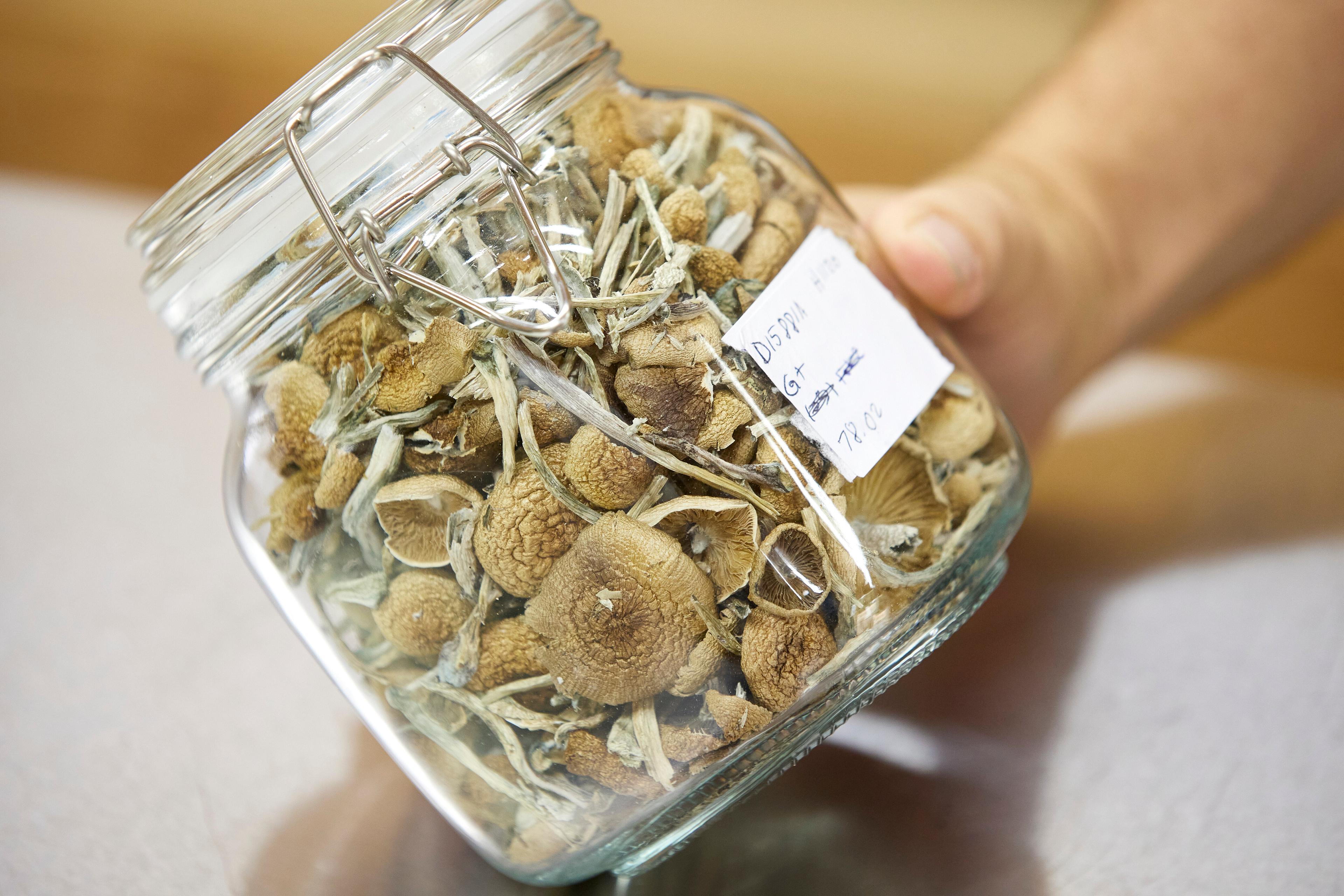 Oregon Magic Mushrooms