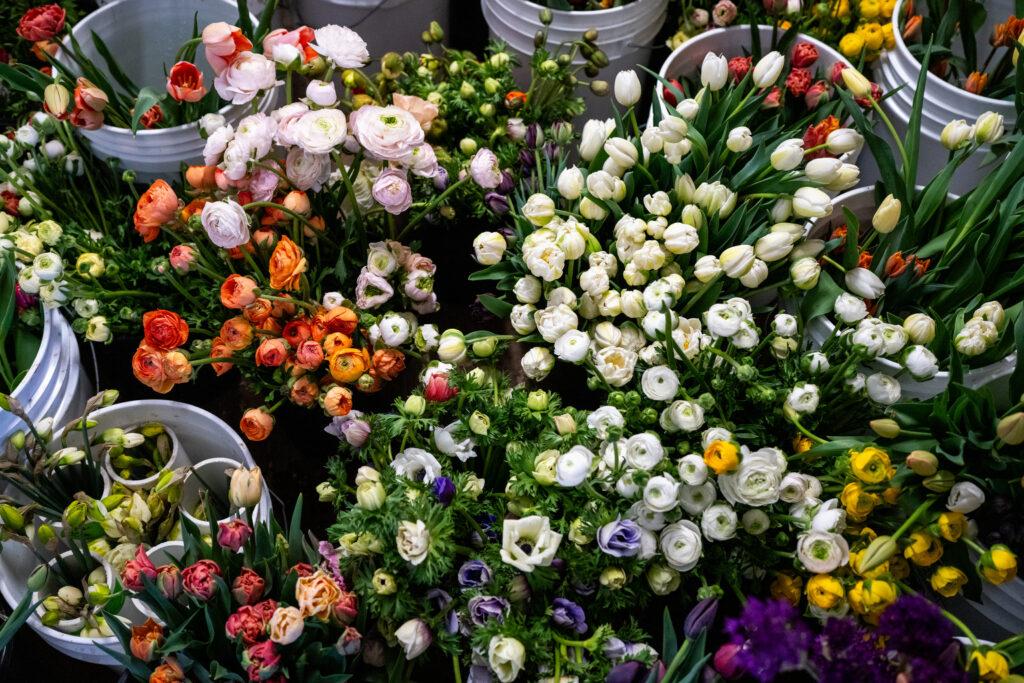 Colorado Flower Collective and Artemis Flower Farm Readies For Mothers Day In Longmont