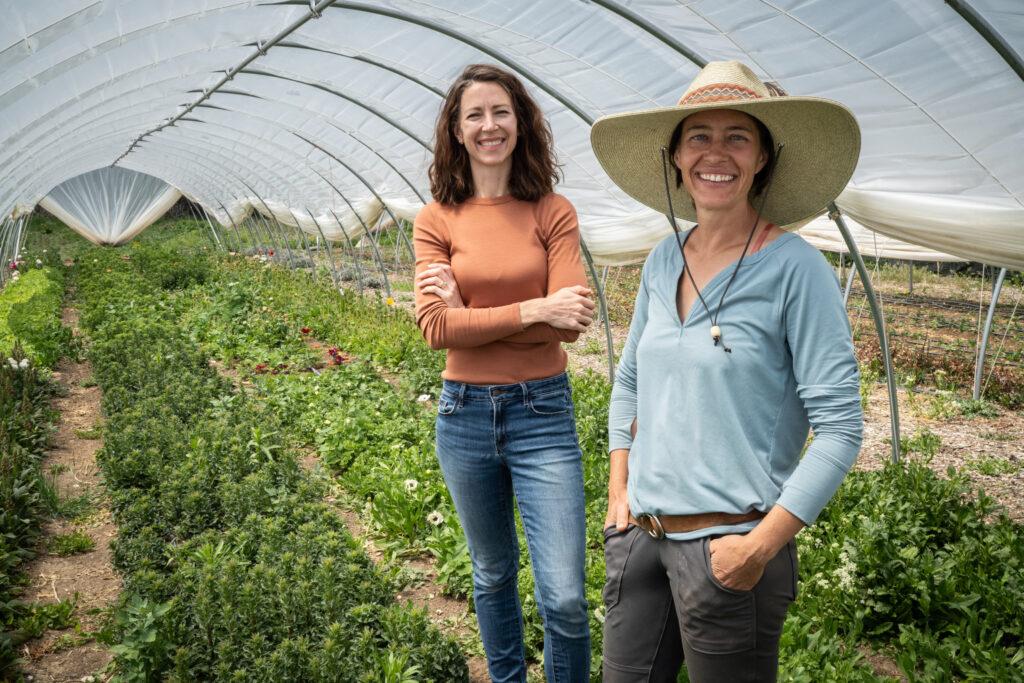 Colorado Flower Collective and Artemis Flower Farm Readies For Mothers Day In Longmont