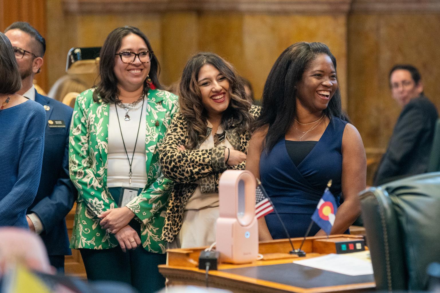 Freshman Democratic State Rep. Yara Zokaie.