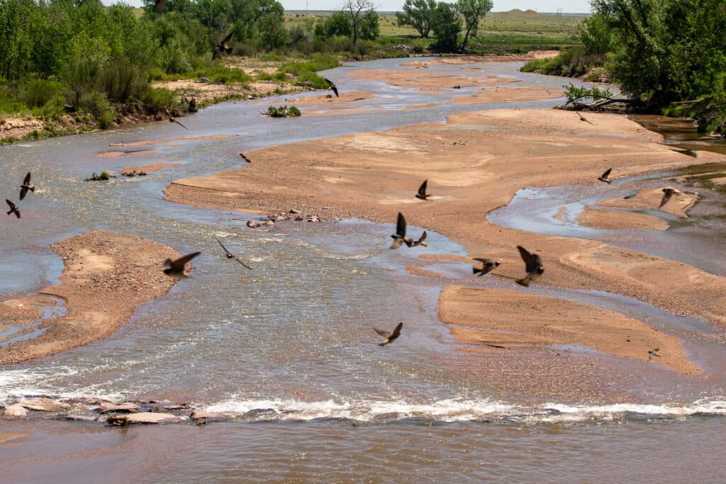 Fountain Creek in rural El Paso County