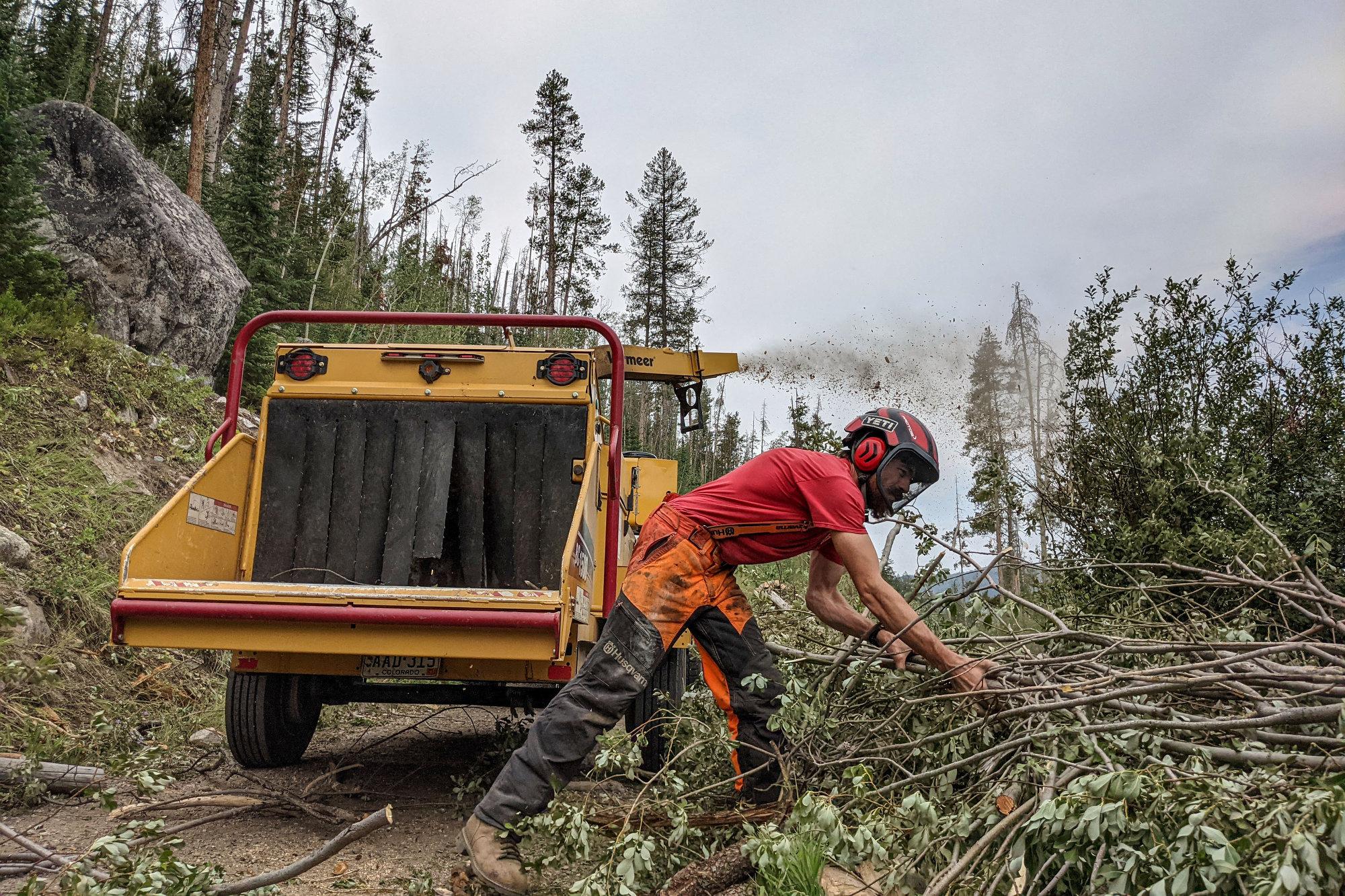 a fire mitigation worker clears trees and brush