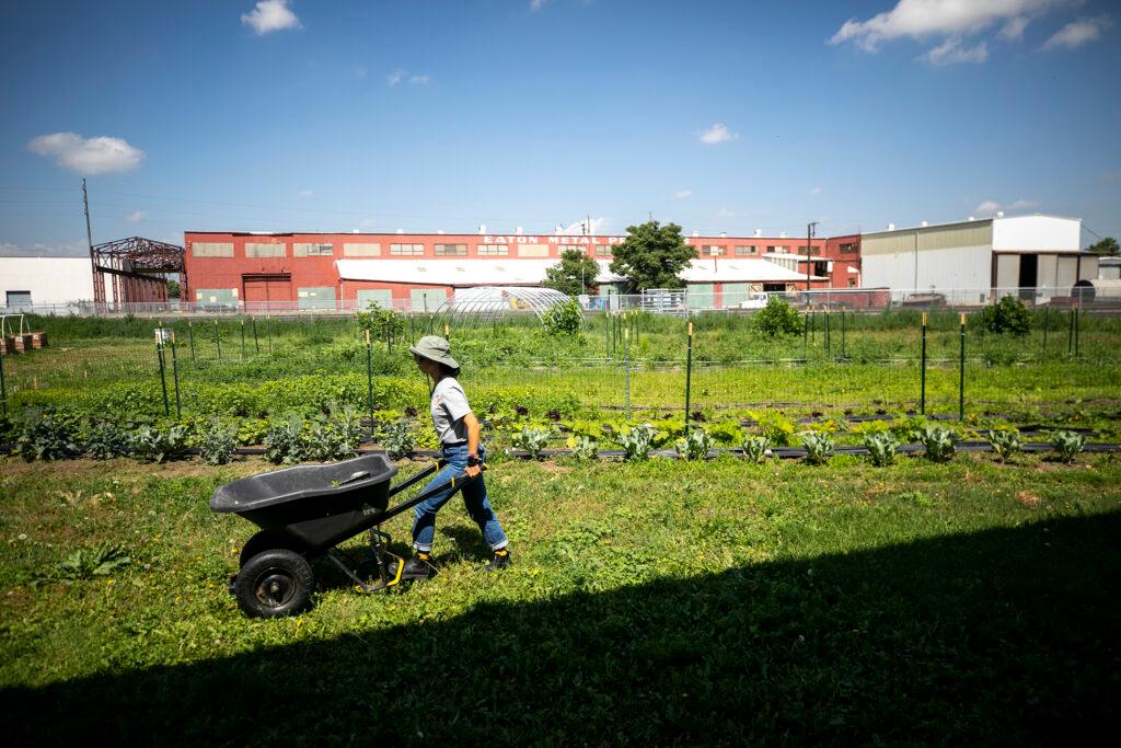 A woman pushes a wheel barrel through an urban garden