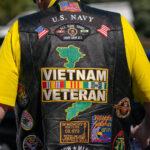 Vietnam Veteran David Lyons PTSD Treatment