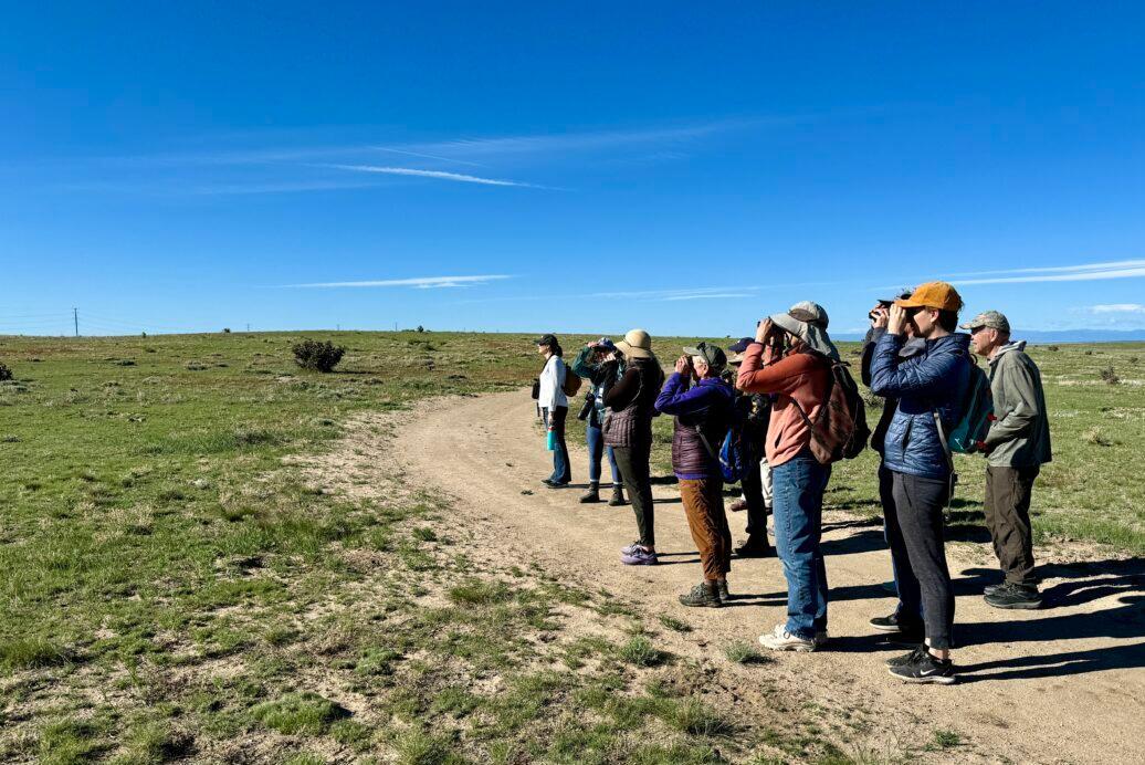 People stand outside on a trail in the plains. They look through binoculars.