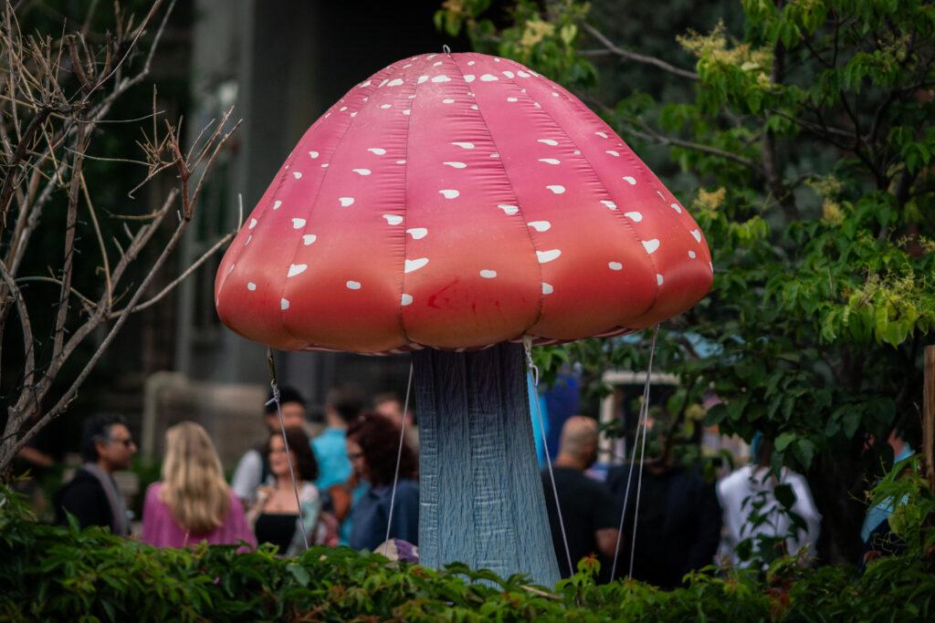 PSYCHEDELIC SCIENCE 2025 PLANT MAGIC TALKS 20250617
