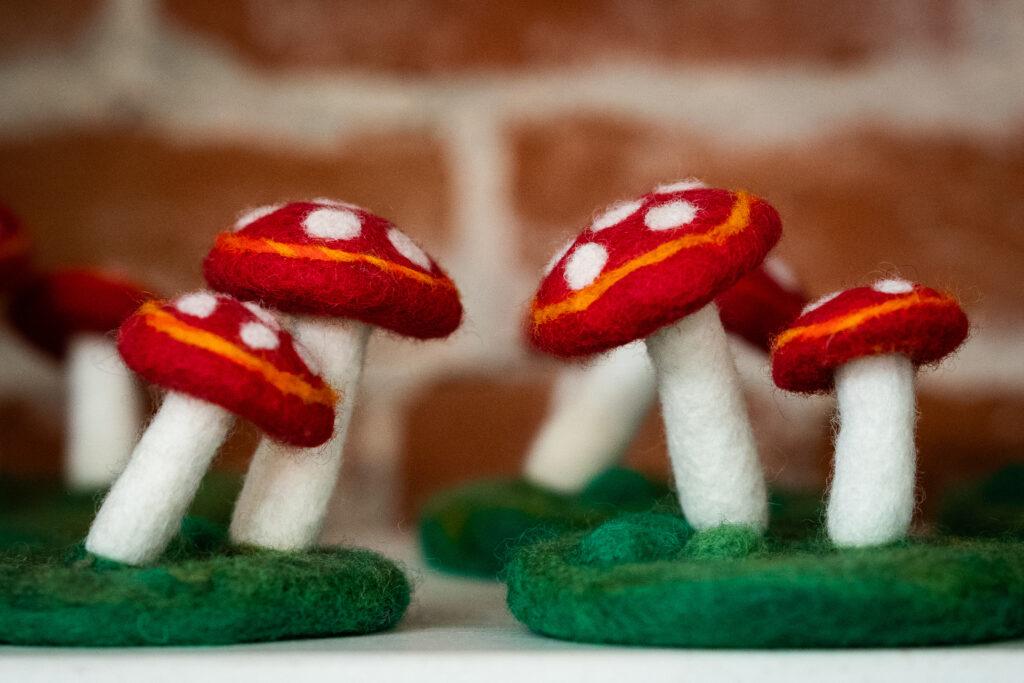 PSYCHEDELIC SCIENCE 2025 PLANT MAGIC TALKS 20250617