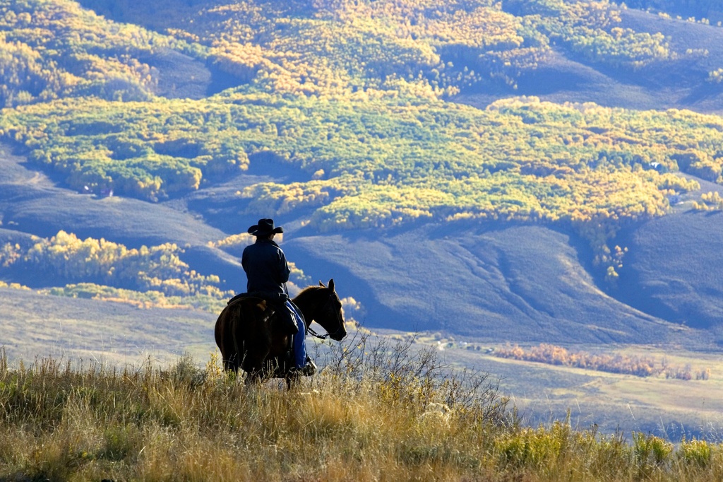 Wrangler Doug Washburn, of Crested Butte, Colo. overlooks aspen trees
