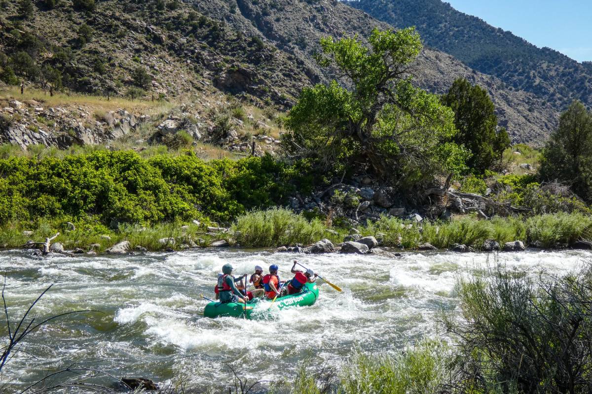 A green colored raft carries five people using paddles through whitewater rapids with steep terrain covered in scrubby vegetation in the background