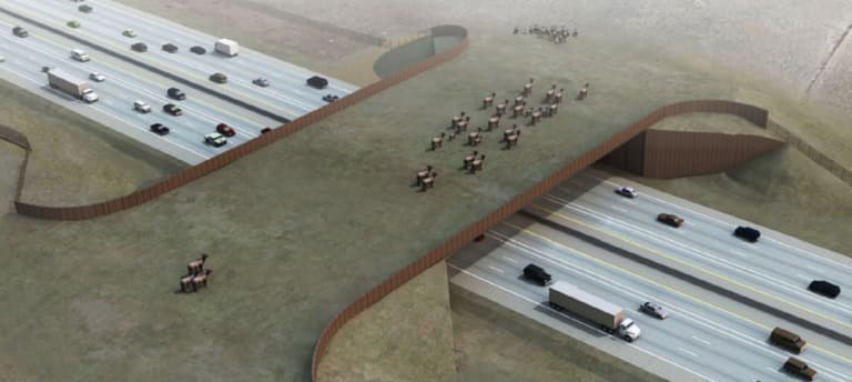 A drawing of a herd of elk crosses over a highway using a large grass covered bridge