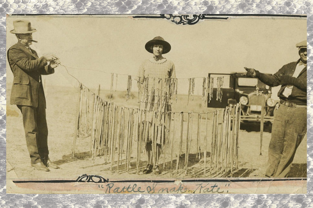 Katherine McHale Slaughterback, aka "Rattlesnake Kate," poses with the 140 rattlesnakes she slayed. Two men, on on either side of her, hold up two lines with the dangling snakes.