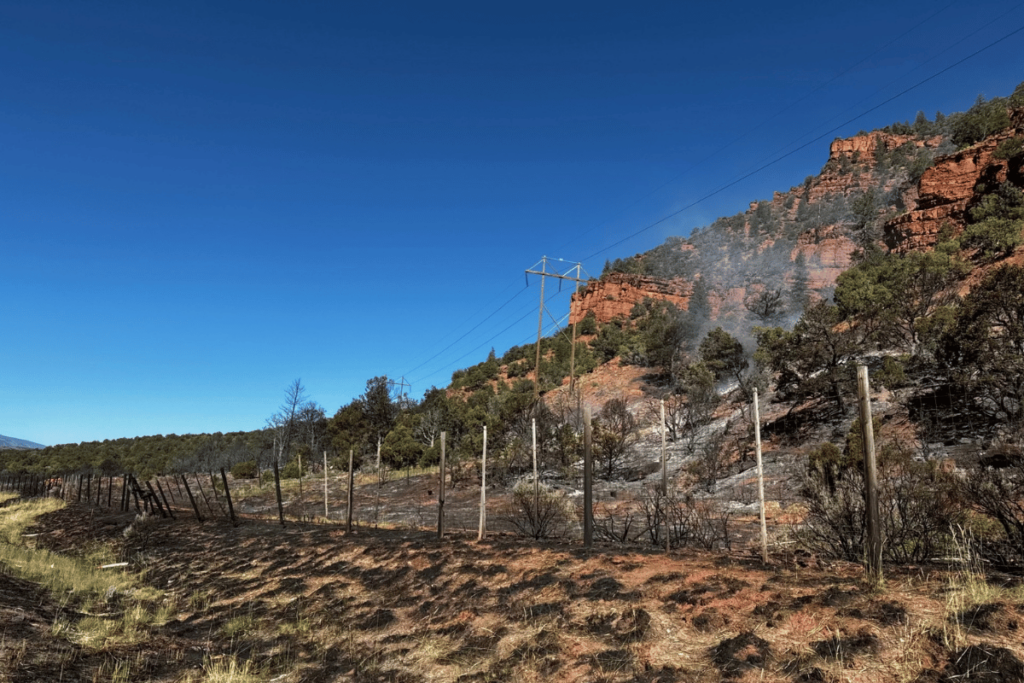 A burned landscape is seen along the edge of a road with smoke rising from the ground in one spot in the background.