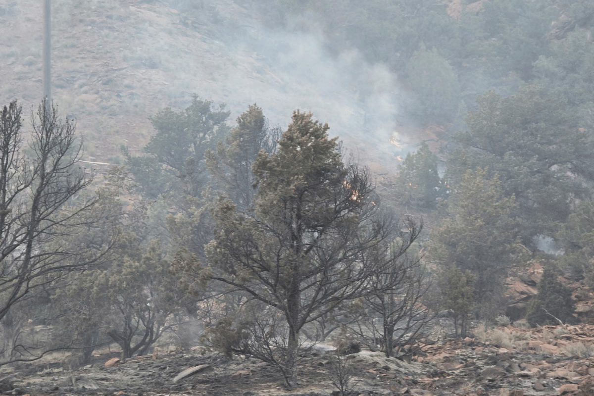 A wildfire burning in a mountainous area, with thick smoke billowing from the top of a tree. The landscape is rugged with rocky terrain and sparse vegetation.
