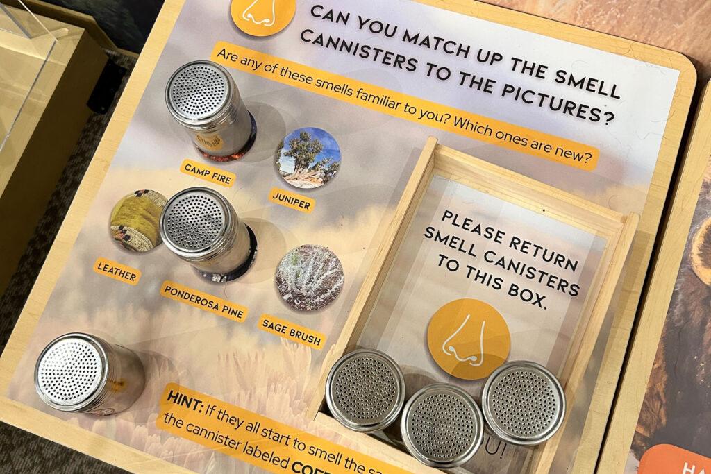 Photo shows an interactive portion of the exhibit six silver metal canisters to smell at the Pioneers Museum in Colorado Springs elevating Ute culture and history.