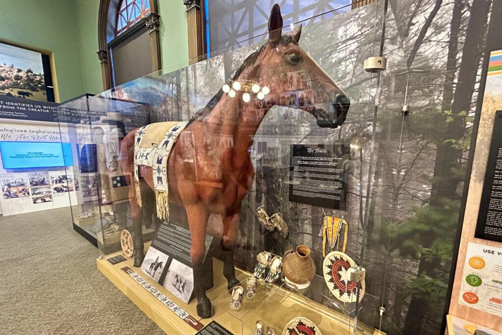 A lifesize brown horse and other Native American artifacts on display at the Pioneers Museum in Colorado Springs elevating Ute culture and history.