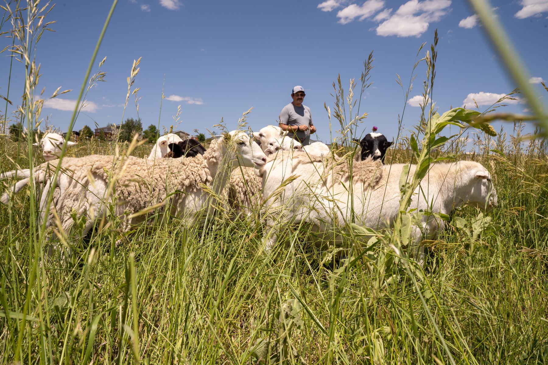 AG FUNDING WESTERN STATES
