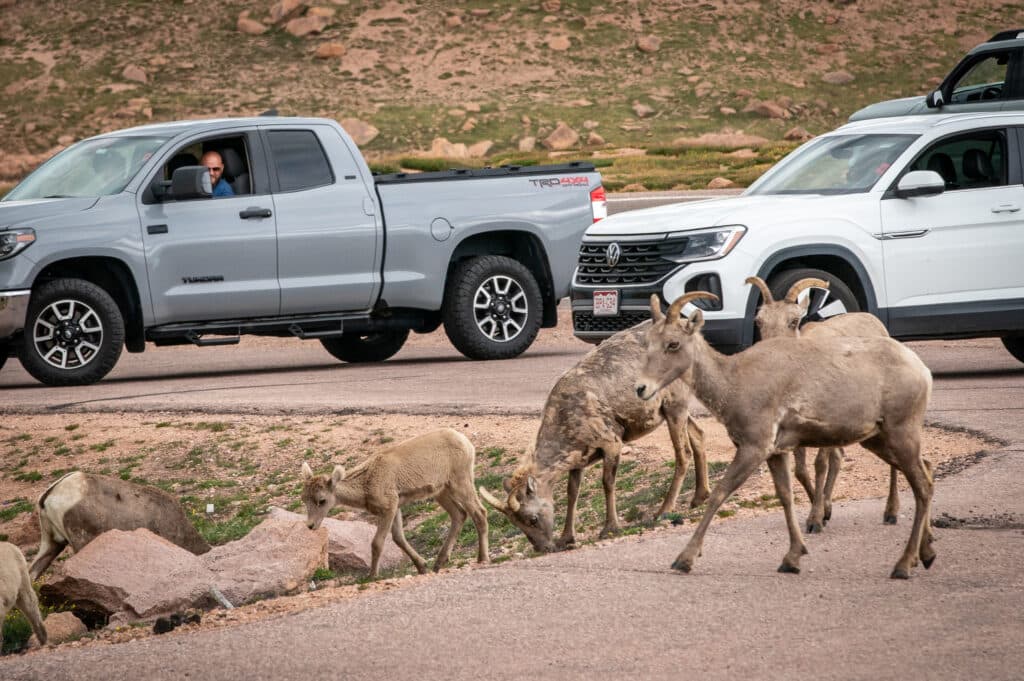 PIKES PEAK SHUTTLE