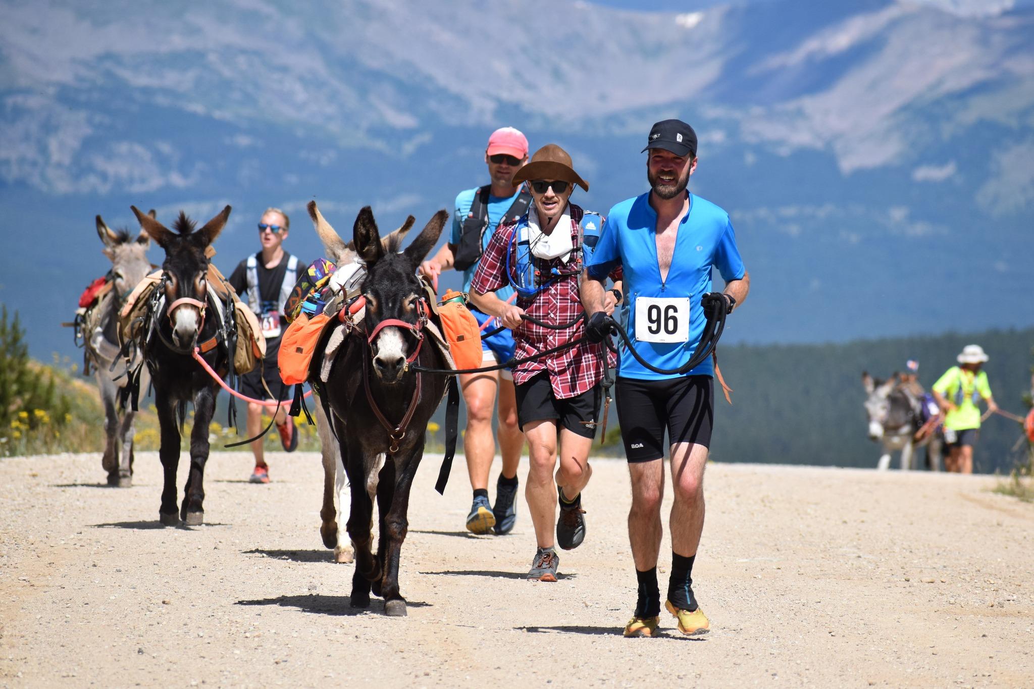 A line of competitors, running iwth birros, head towards the camera. The mountains are visible in the backgorund.