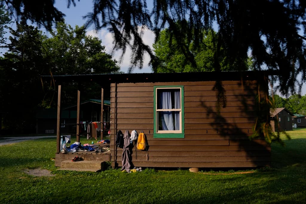 A cabin with trees surrounding it