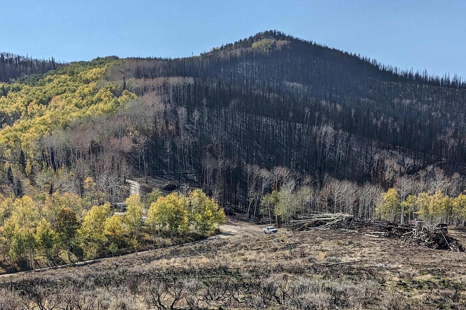 ASPENS FIREBREAK LOWLINE GUNNISON