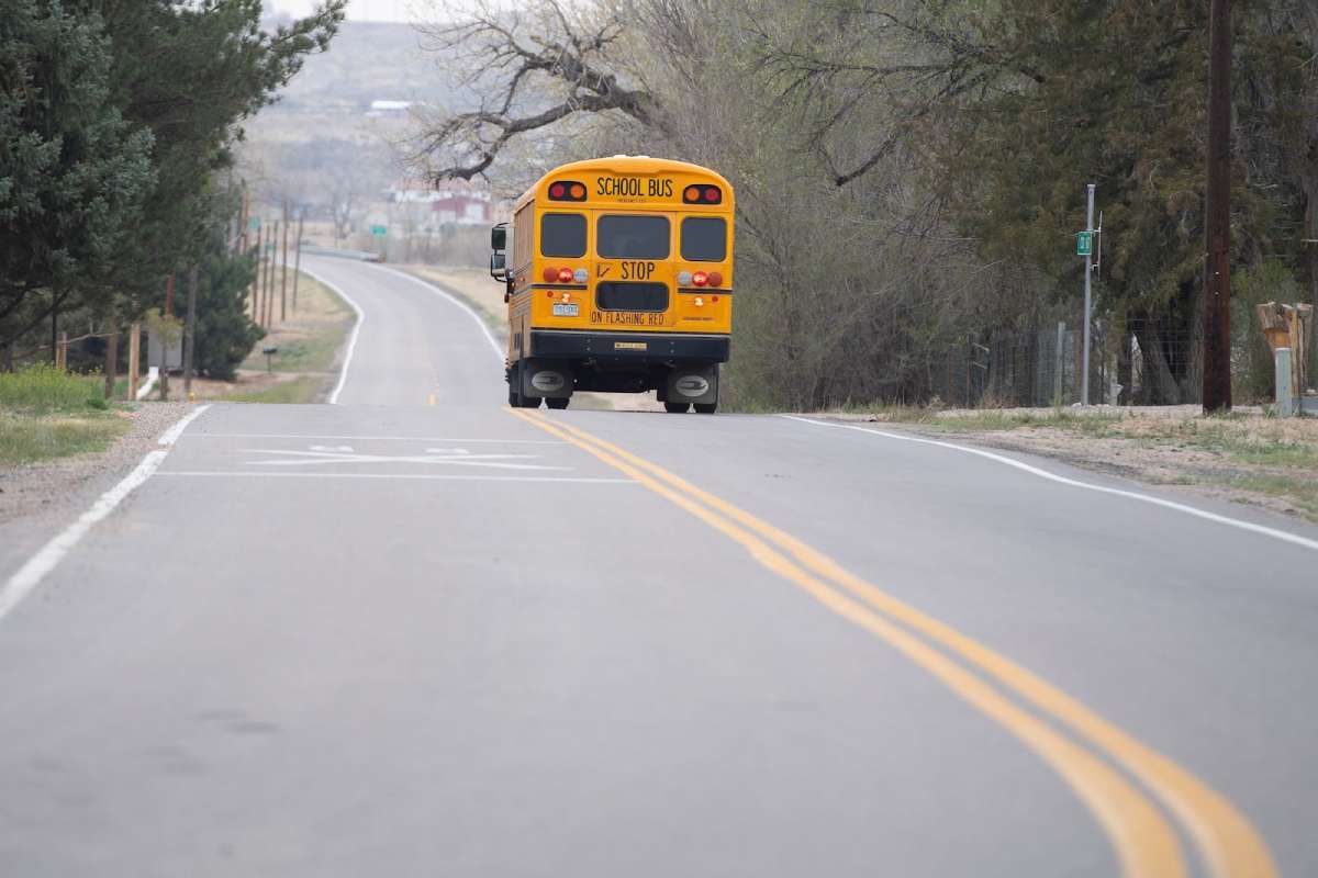 a school bus driving down a two lane rode trees on either side of the street