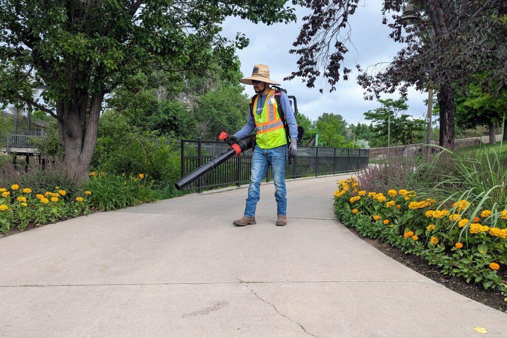 A landscaper clears a sidewalk with an electric leafblower.