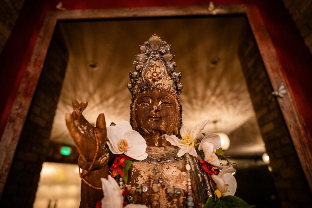 PSILOCYBIN ASPEN HEALING CENTER SKIPPY MESIROW