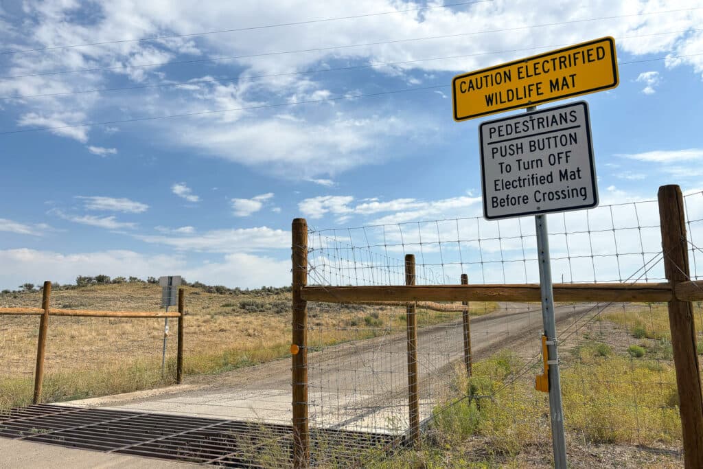 WILDLIFE-CROSSING-WARNING-SIGNS
