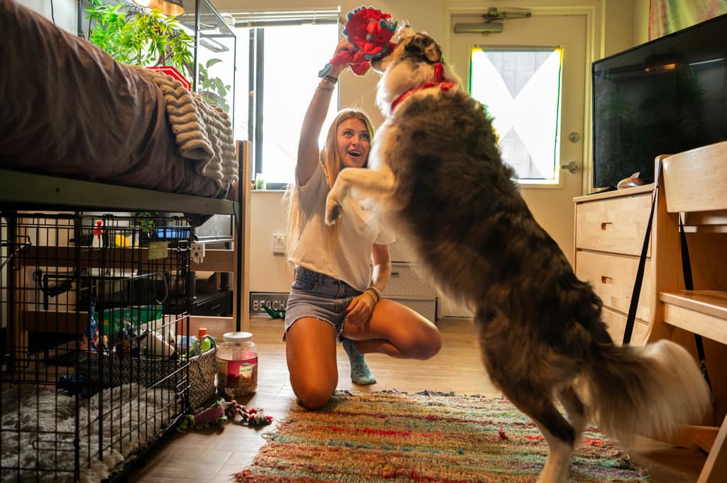 Woman playing with a dog inside a bedroom