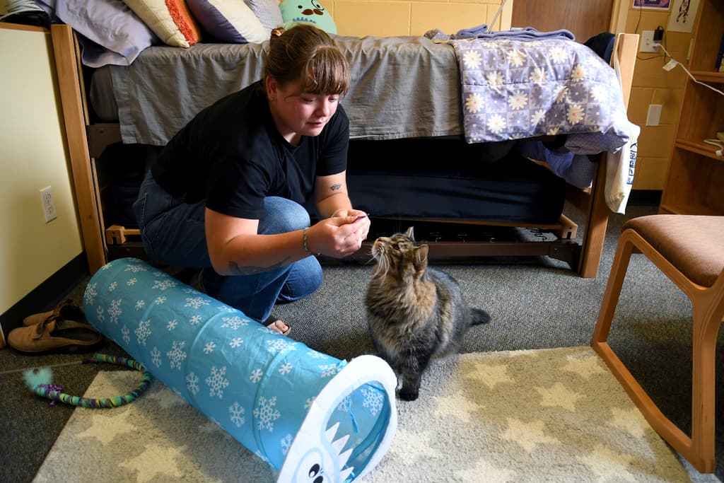Woman playing with a cat inside a bedroom