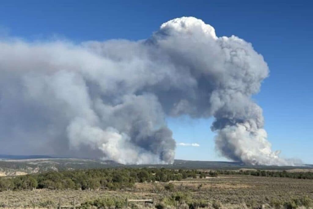 A view of both the Lee and Grease fires