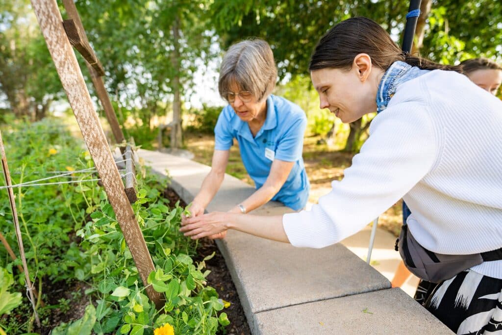 Two women, one in a blue polo the other in a white button up shirt lean over a garden
