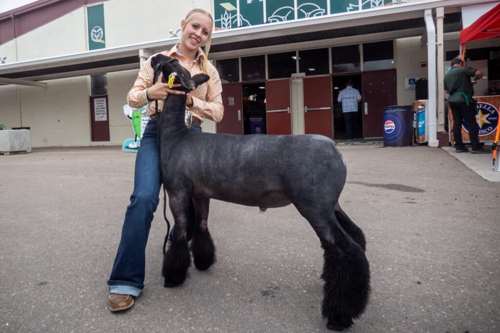 a young person shows off her dark colored lamb