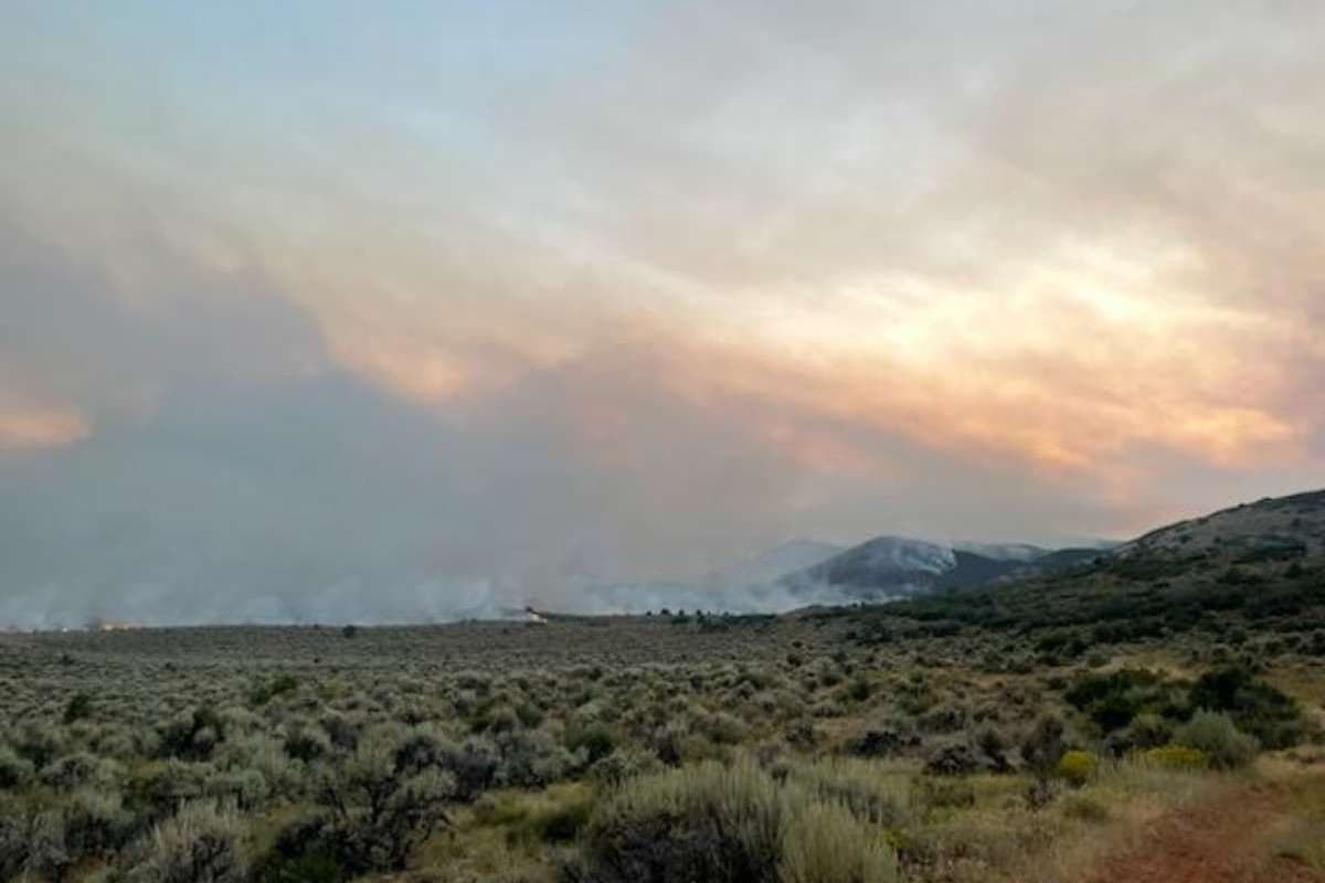 The Elk fire