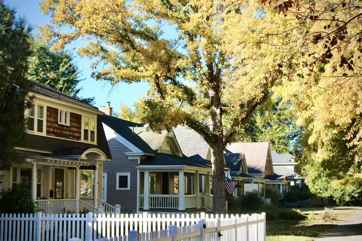 multiple houses in a neighborhood
