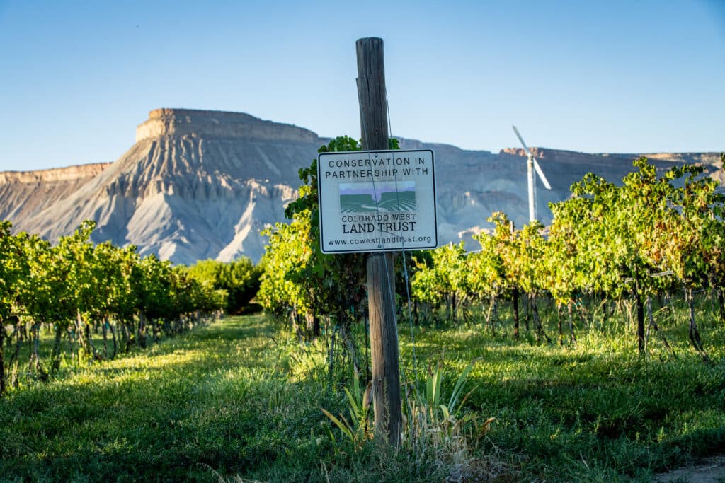 LAND-TRUST-PALISADE-20250908